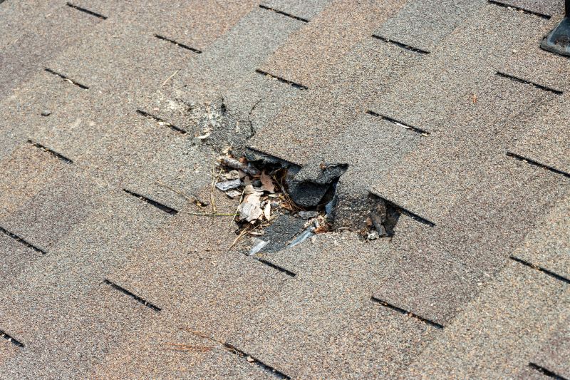 Leaky Roof Replacement in Littleton, NH